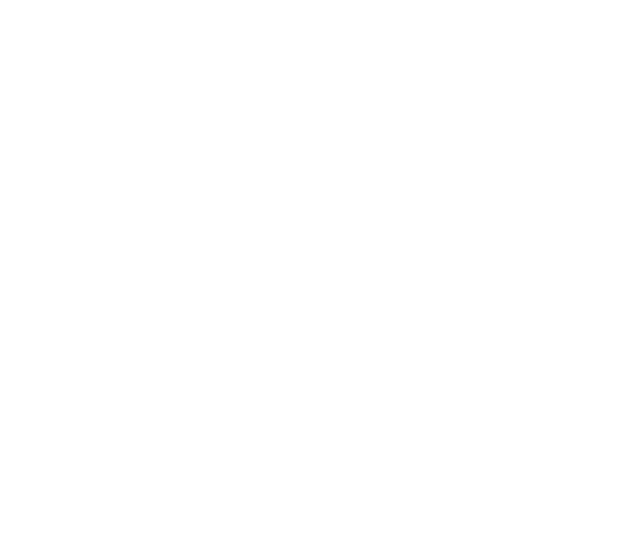 Typro logo